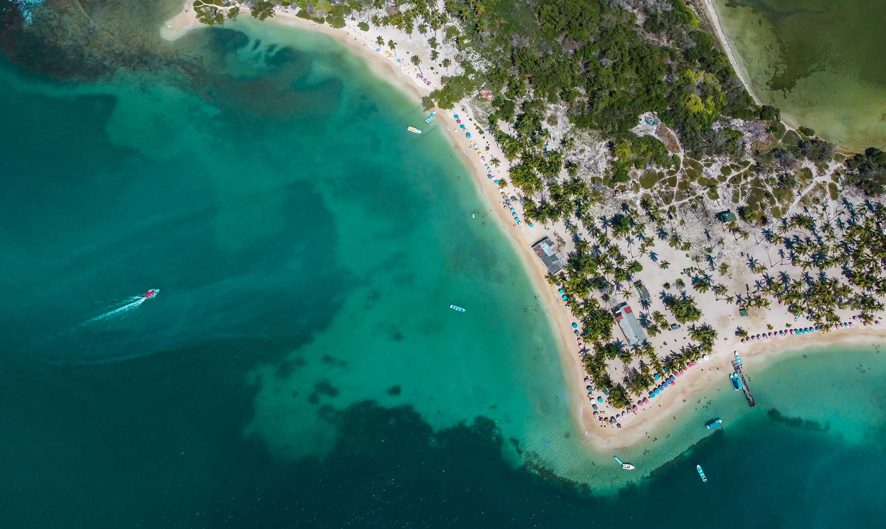 Morrocoy