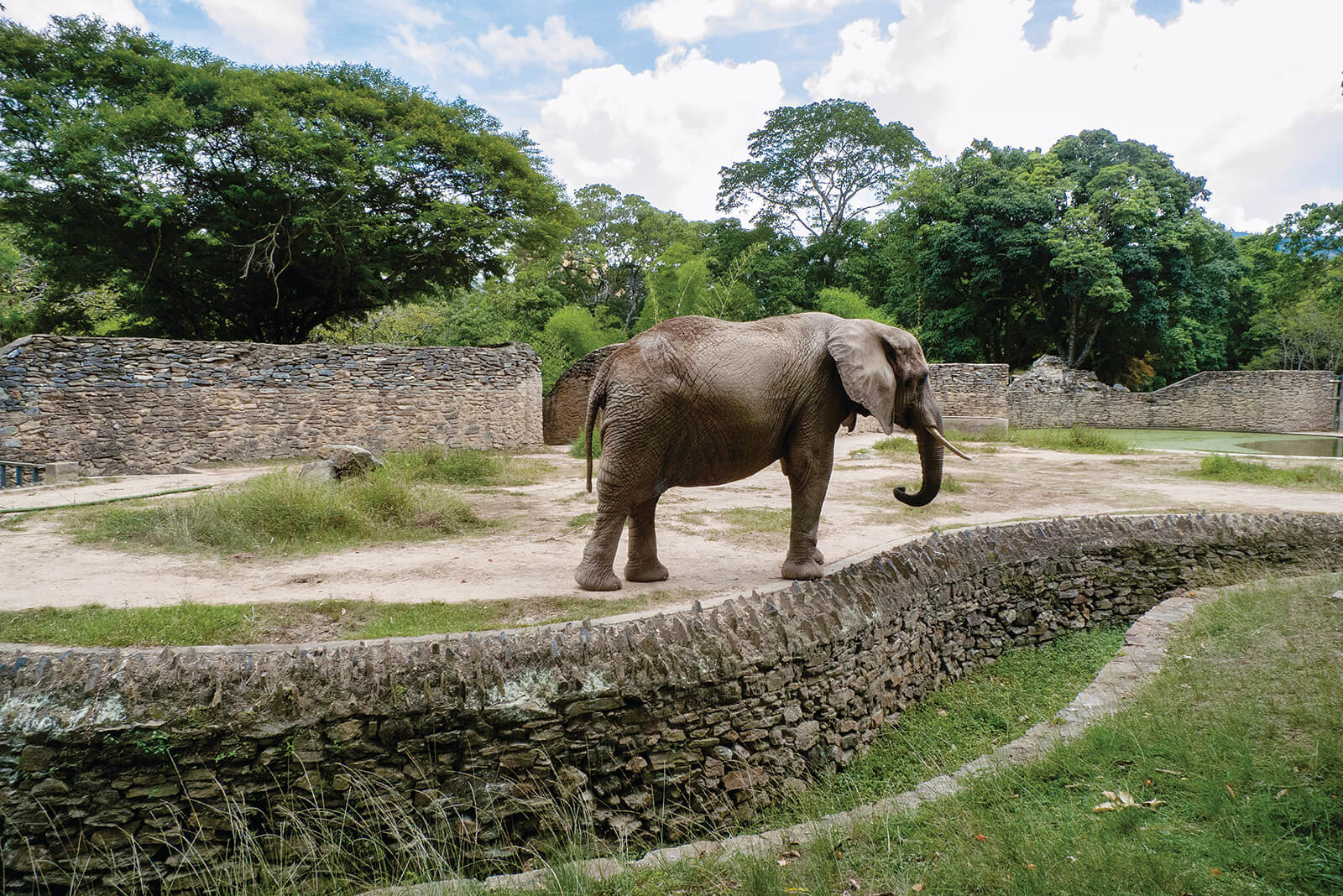 Zoológico de Caricuao