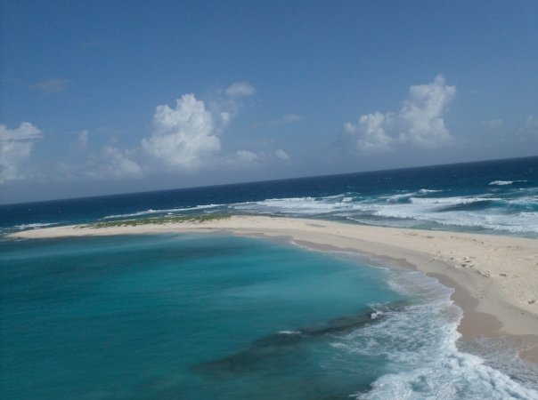 Isla de Aves