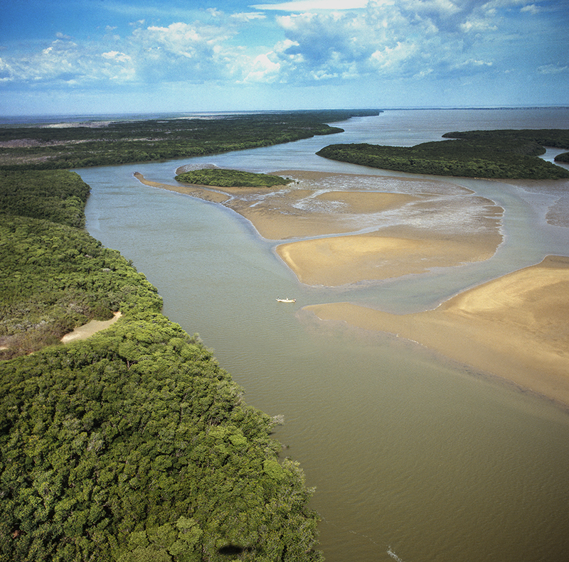 Ciénaga de Los Olivitos