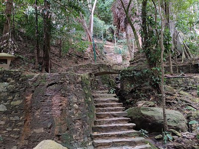 Caminerías y Puentes