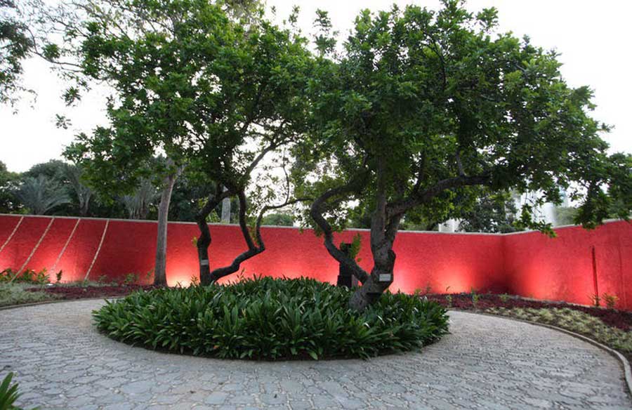 Patios Ornamentales
