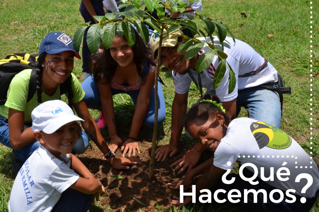 ¿Qué Hacemos?