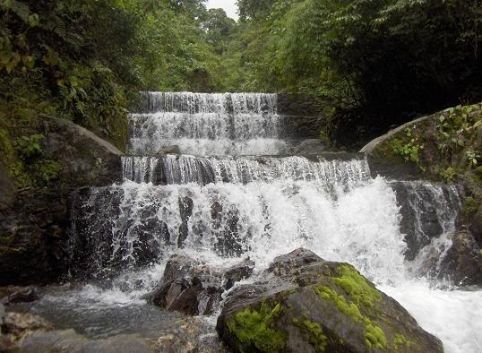 Inparques conmemora el 55 Aniversario del Parque Nacional Yacambú