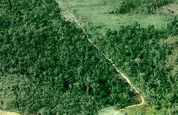 Parque Nacional San Camilo: 24 años de rica biodiversidad