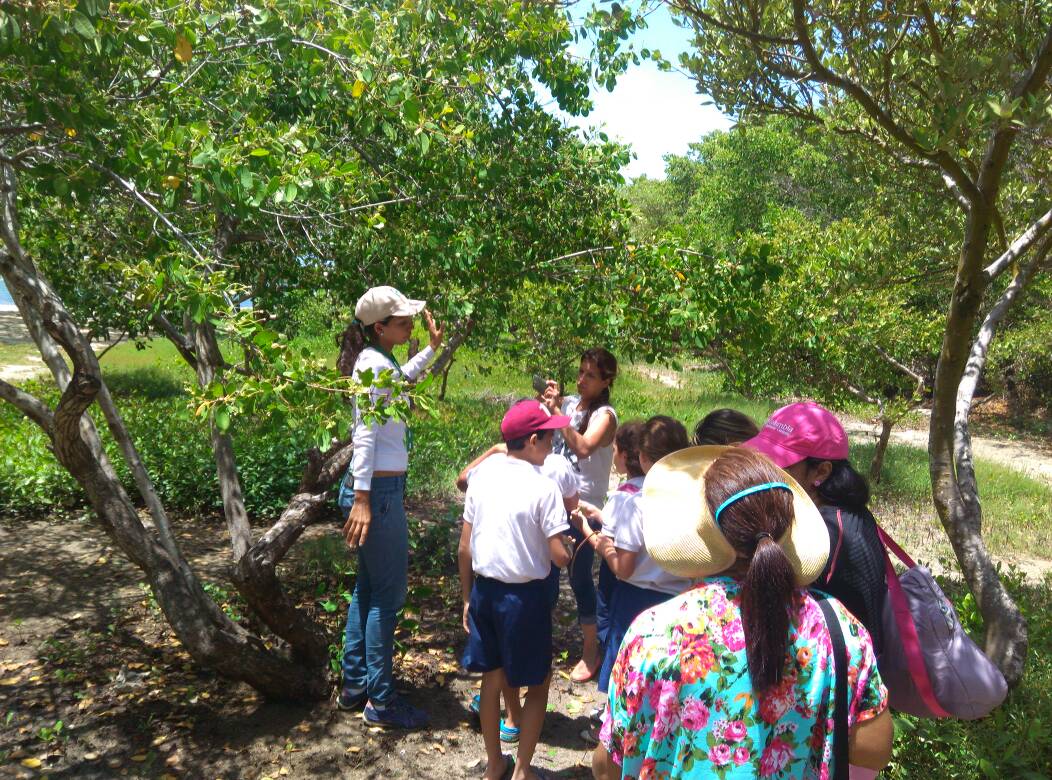 Trabajadores de Inparques Falcón imparten talleres para la conservación de manglares