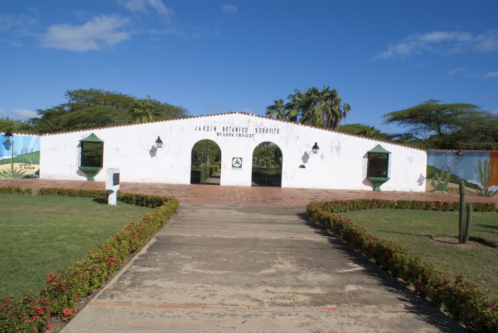 Falcón: uno de los principales atractivos turísticos del país para estas vacaciones