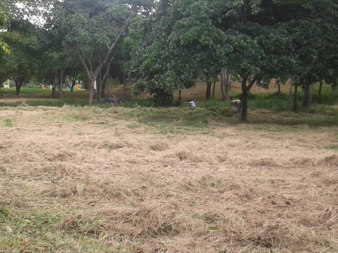 Continúa el mantenimiento en el Parque Generalísimo Francisco de Miranda