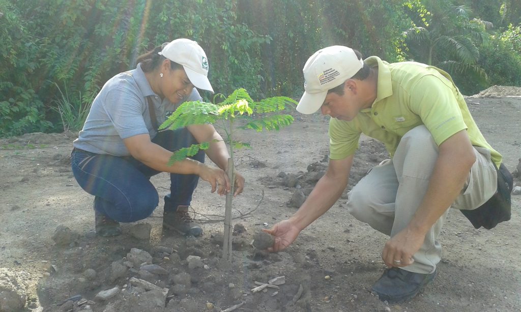 Servidores de Inparques Anzoátegui verificaron reforestación en Guanta