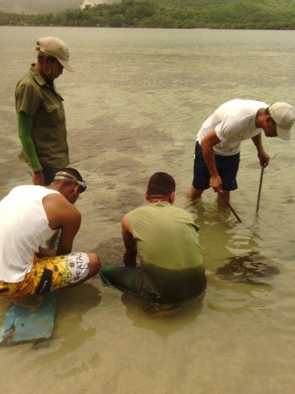 Servidores de Inparques Anzoátegui continúan monitoreo de coral Xenia