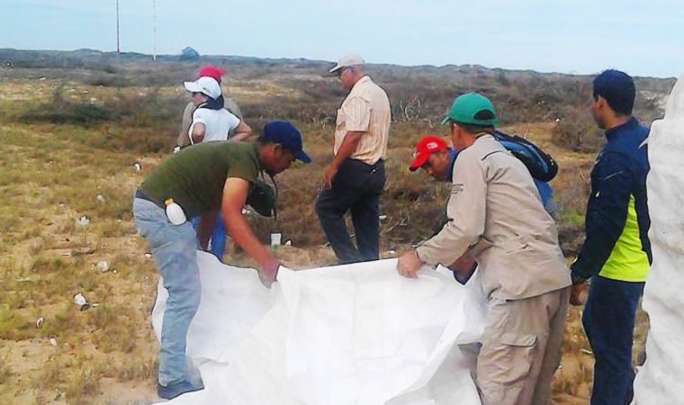 Recolectados 90 kilos de desechos sólidos en el Parque Nacional Médanos de Coro