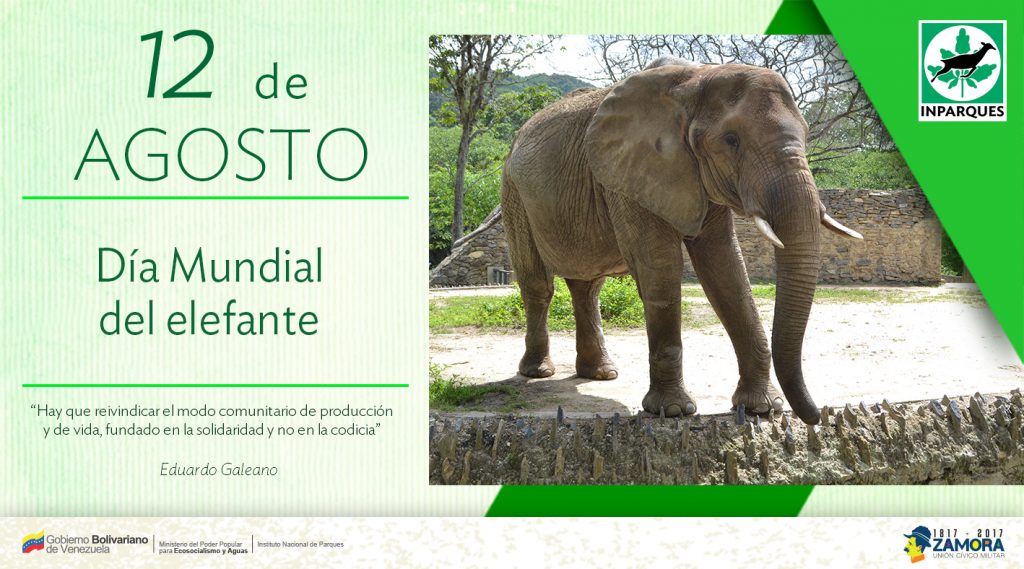 Inparques conmemora el Día Mundial del Elefante