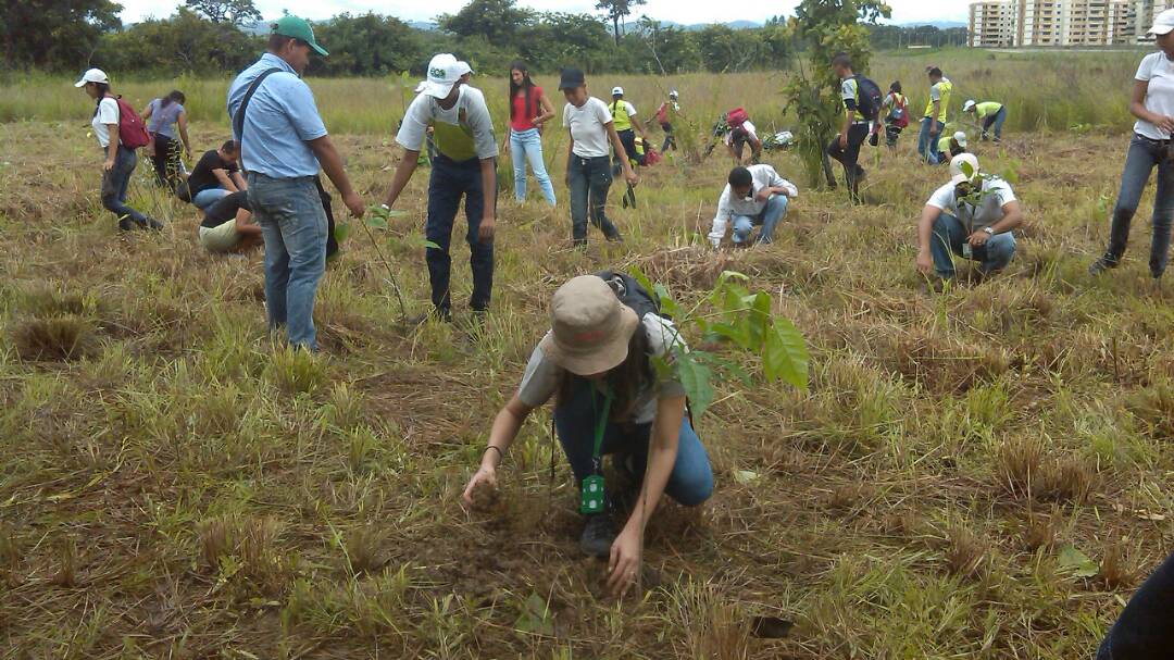 Inparques Cojedes estableció 500 plantas en la micro cuenca La Yaguara