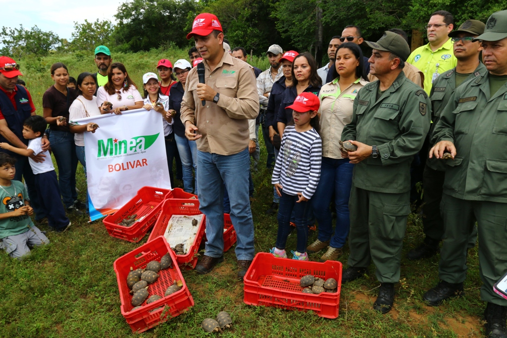 Ministro Velásquez Araguayán participó en la liberación de 1.059 morrocoyes en el municipio Heres de Bolívar