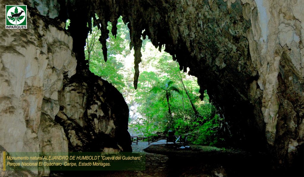 Cueva del Guácharo: atractivo turístico más importante del estado Monagas