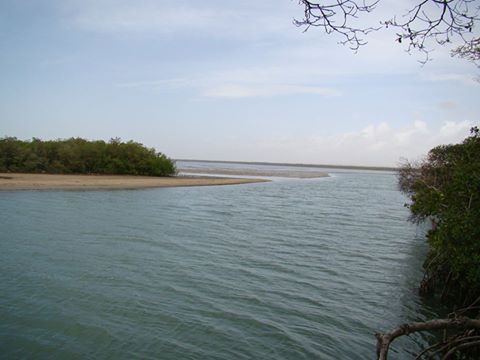 Boca de Caño: Refugio de vida y espacio para el turismo natural en Falcón