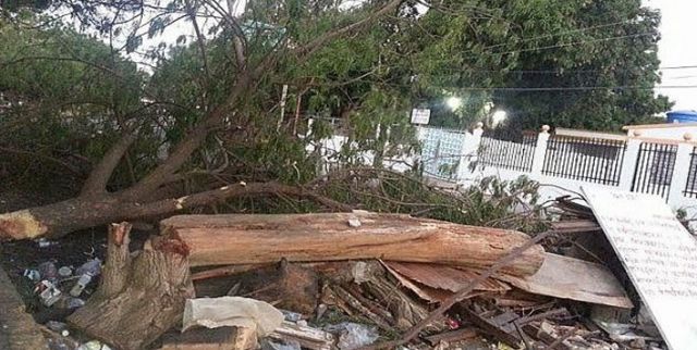 Abiertas 55 investigaciones por ecocidios cometidos por razones políticas