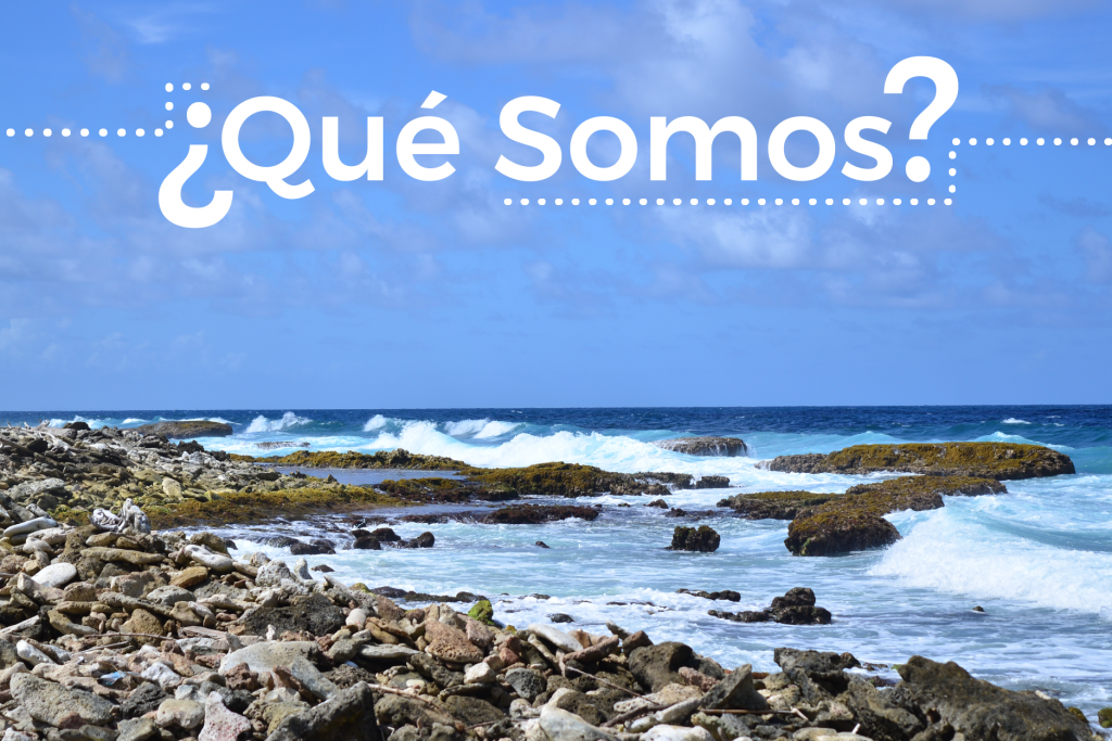 ¿Que Somos?