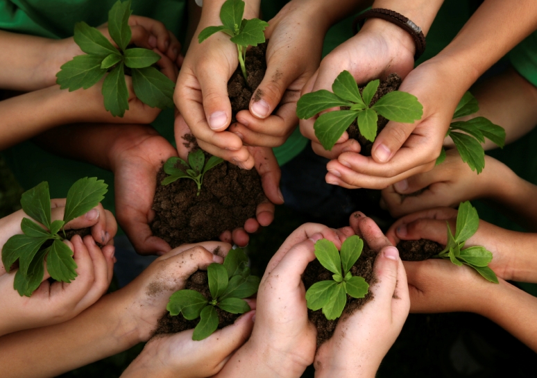 Inparques inspeccionó patio productivo en Anzoátegui