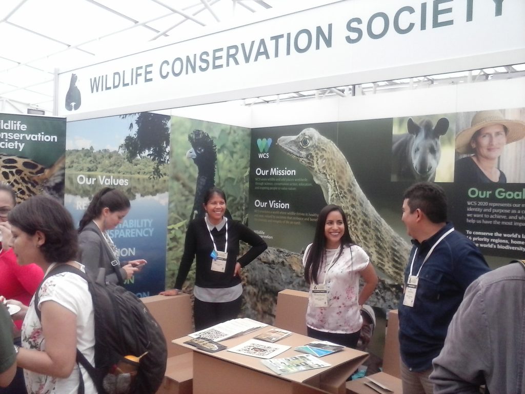 Inparques expondrá investigación sobre oso andino en conferencia  Internacional en Ecuador