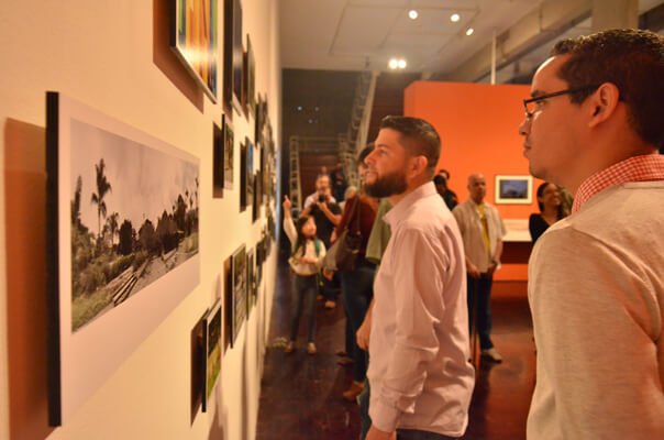 Parque Generalísimo Francisco de Miranda fue protagonista en la Galería de Arte Nacional