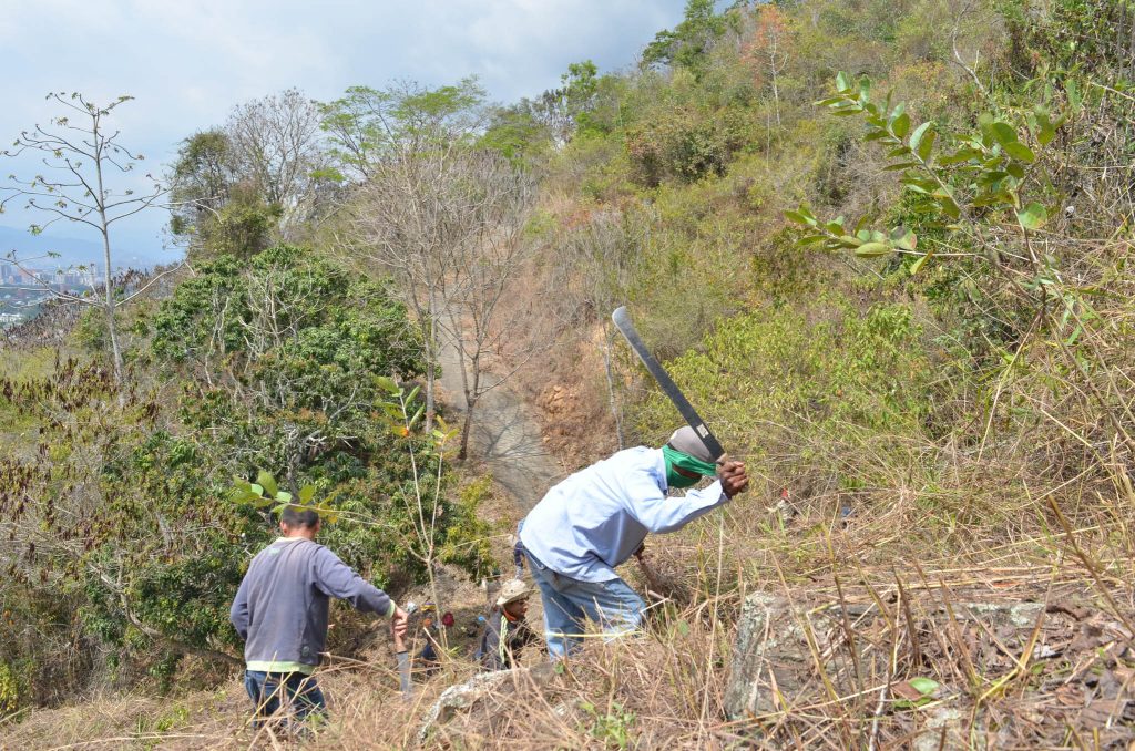 Avanza mantenimiento de cortafuego del Warairarepano