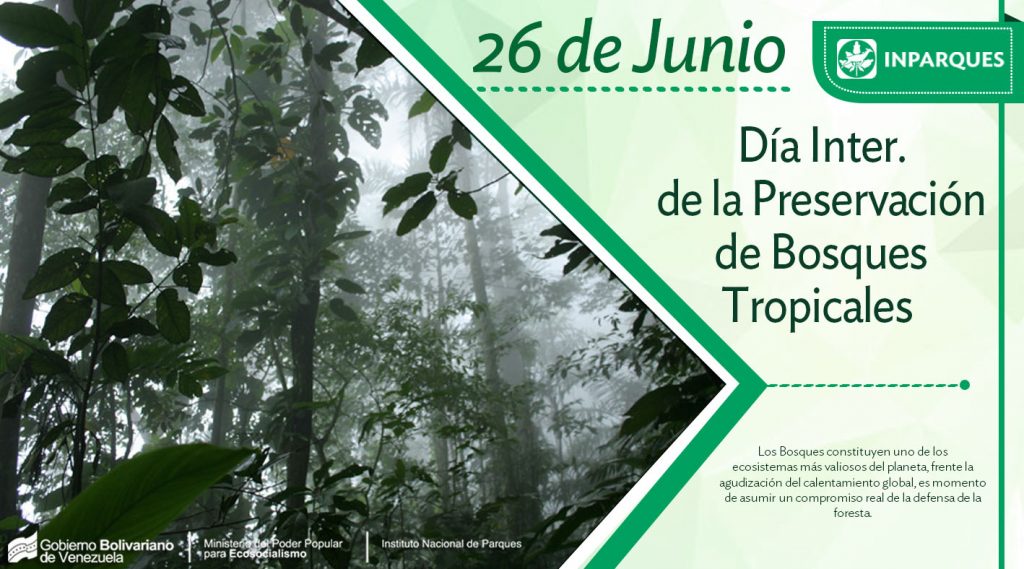 Hoy se celebra el Día Internacional de la Preservación de los Bosques Tropicales