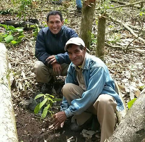 Décimas y plantación de árboles acompañaron aniversario del Parque Nacional Yacambú