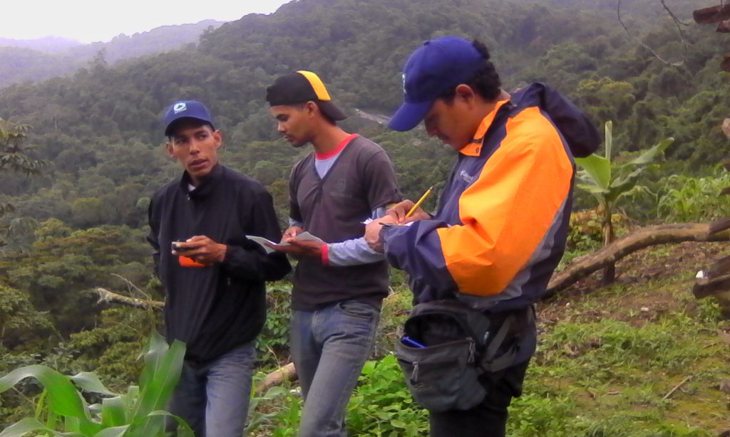 Inparques Lara desplegó equipo para combatir la deforestación del Parque Nacional Yacambú