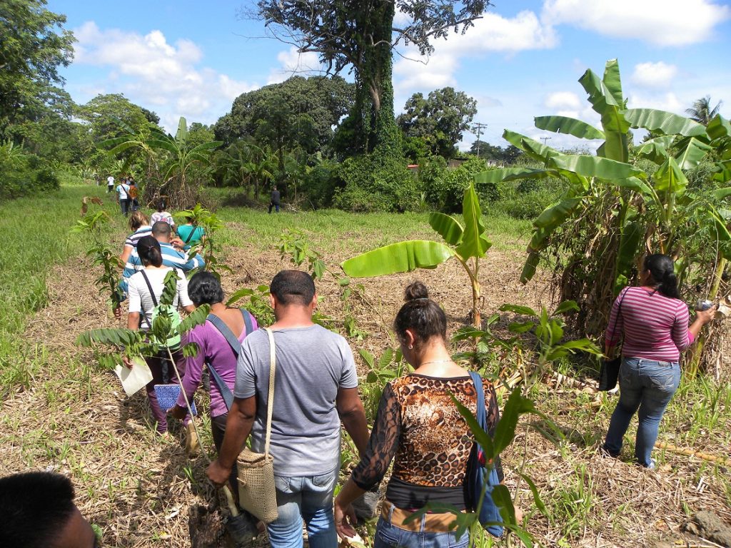 Inparques sembró más de 250 plantas en el Delta en honor a Robert Serra