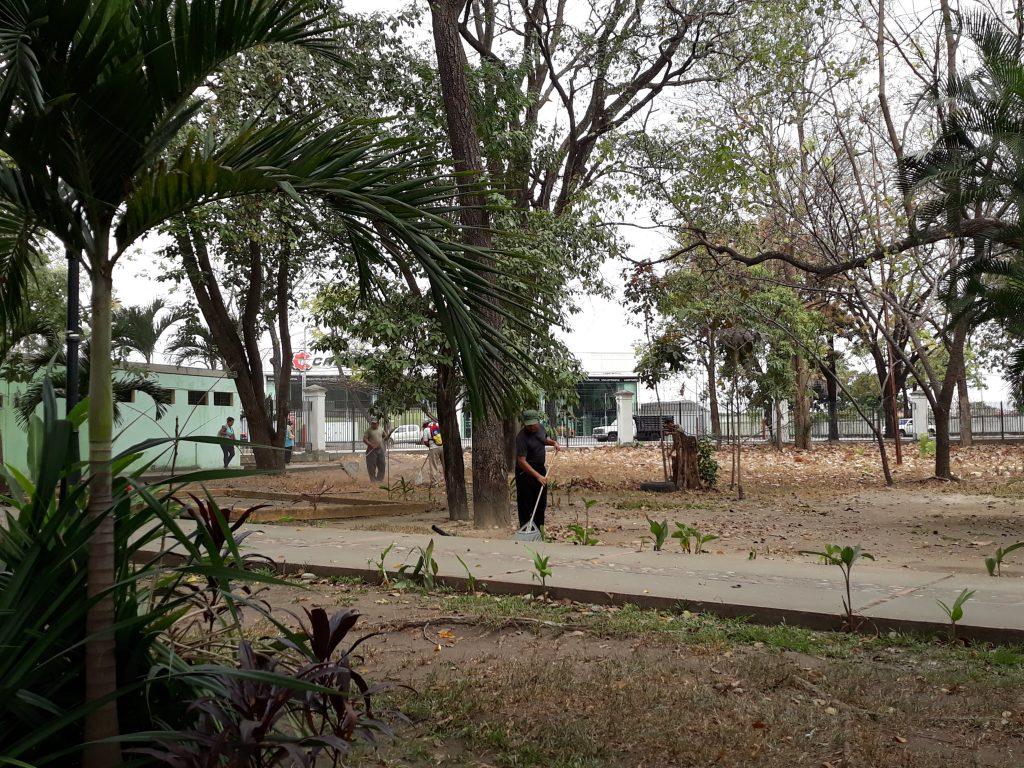Inician plan de limpieza y ornato en el  Parque de Recreación  La Federación