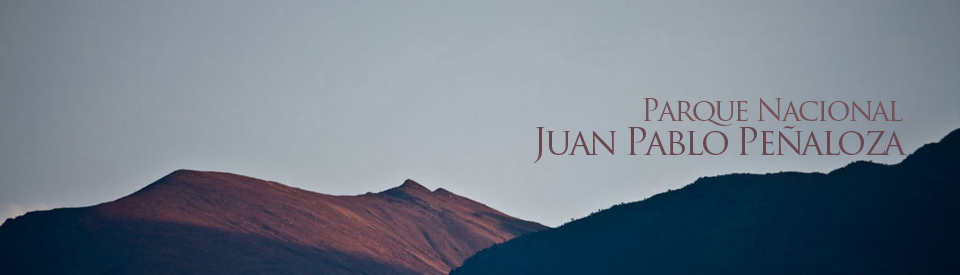 Parque Nacional General Juan Pablo Peñaloza arriba a su 30 aniversario