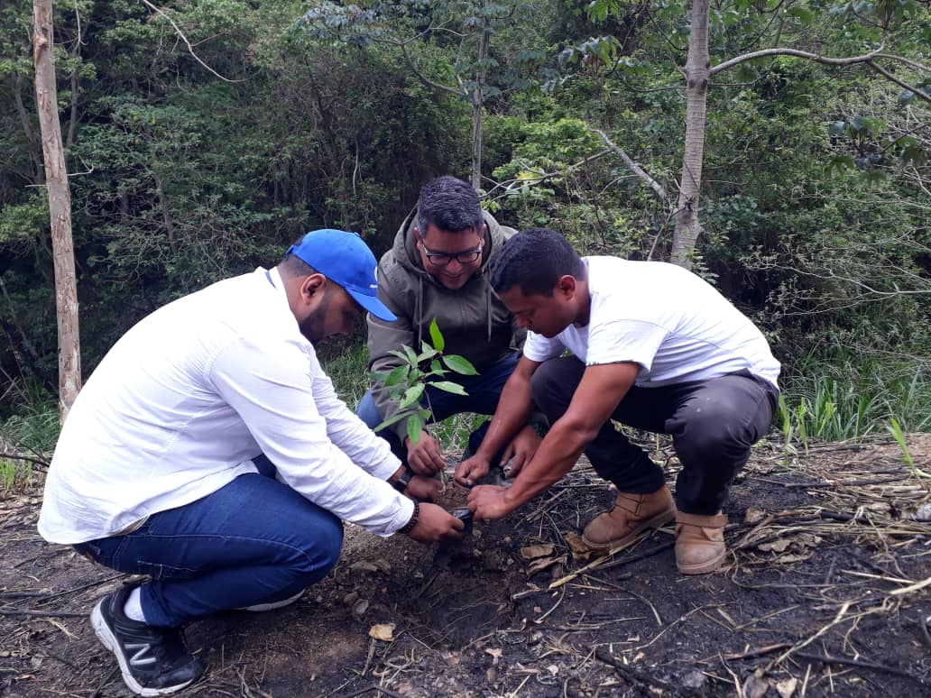 Minec e Inparques efectuaron jornada de reforestación en el Waraira Repano