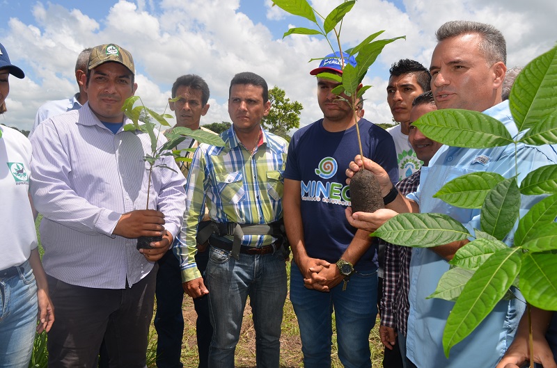 Viceministro Josué Lorca participó en jornada de reforestación en Zona Protectora Mitar