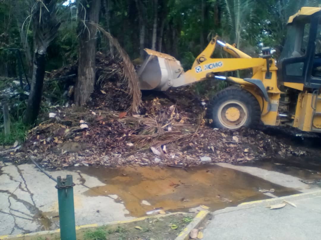 Grupos del Parque Generalísimo Francisco de Miranda contribuirán a su mantenimiento