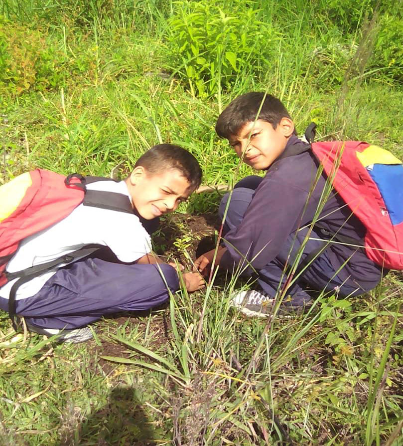 Más de 180 plantas ornamentales y frutales se establecieron en Mérida