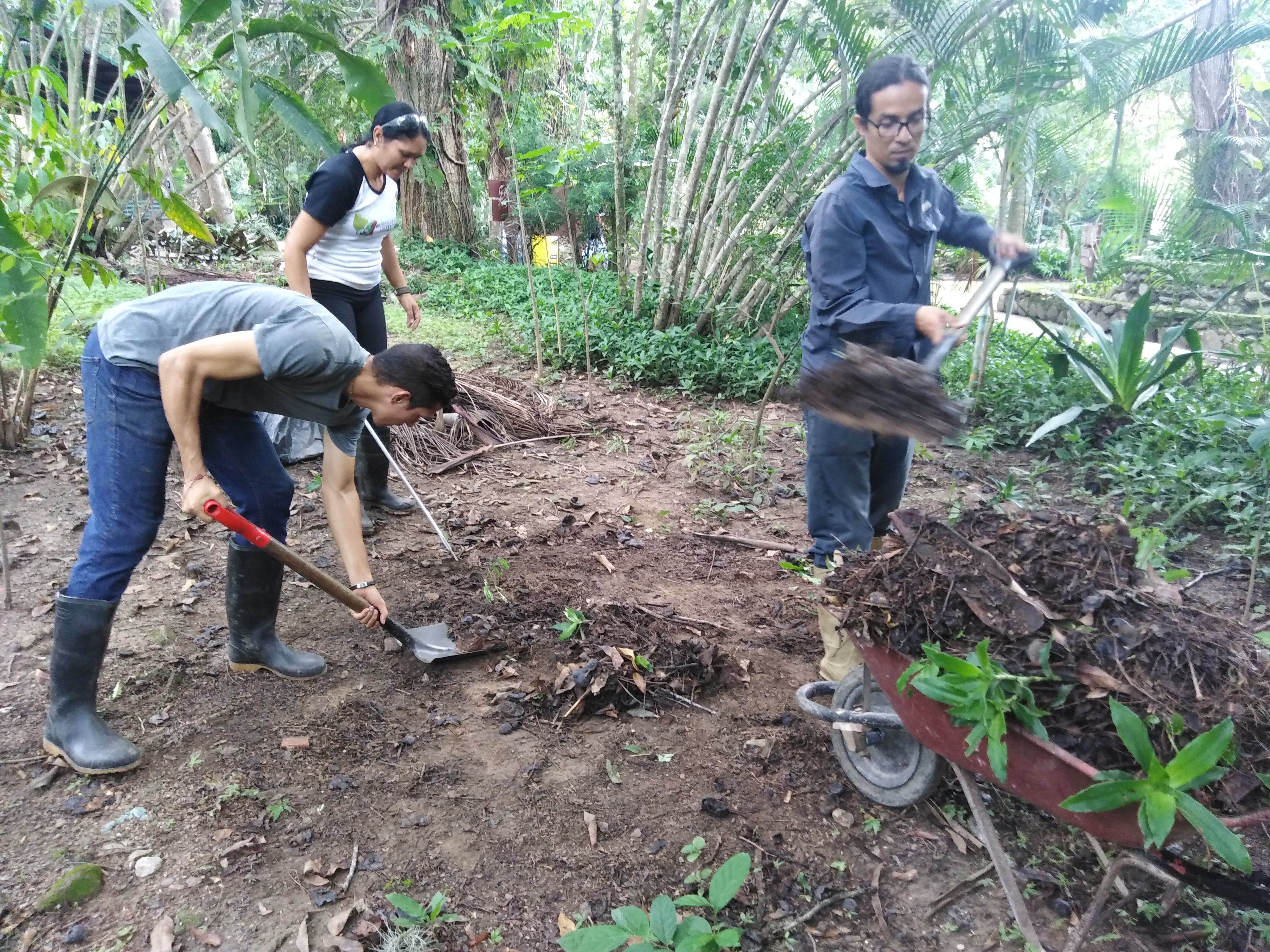 Amigos del Parque embellecieron espacios del parque recreacional Las Cocuizas